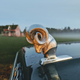 Illustration for article titled I Declare Driving Season Open